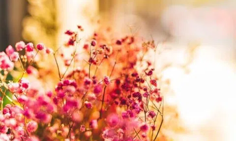 Mối quan hệ tốt đến đâu, người khác tặng bạn 3 món đồ này, tuyệt đối không được nhận