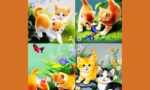 Trắc nghiệm tâm lý: Chọn một cặp mèo theo trực giác và xem con bạn sẽ gặt hái thành công nào?