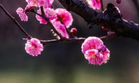 Người sống như này thực sự khôn ngoan và có tầm nhìn xa