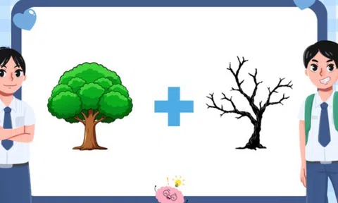 Đuổi hình bắt chữ: Đoán tên các câu ca dao, thành ngữ, tục ngữ Việt Nam về đạo đức con người