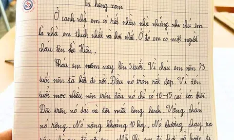 Viết bài văn dài trang giấy tả hàng xóm “đầu chỉ 10 đến 15 sợi tóc”, bé lớp 2 khiến dân tình cười té ghế