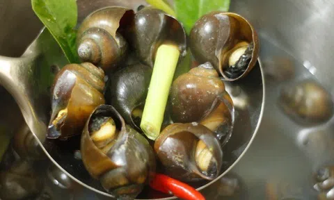 Luộc ốc, người cho nước người lại cho thêm thứ chua loét này, đầu bếp mách mẹo cực hay ốc cực giòn ngon, không tanh