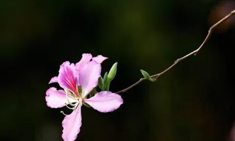 3 thói quen vàng giúp một người ngày càng giàu có