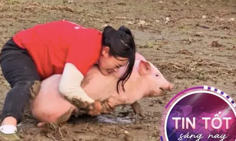 "Nữ chiến thần" bắt lợn một năm mang 22 con lợn thưởng về nhà, chuồng trại chật kín không còn chỗ chứa