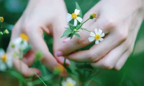 Thấy 3 dấu hiệu này chứng tỏ thành công đang ở rất gần bạn