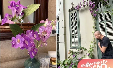 Căn biệt thự đầy hoa tím mộng mơ của nam NSƯT đứng sau sự lung linh của Táo Quân nhiều năm qua