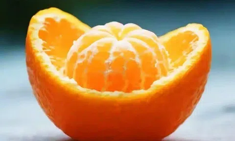 Trắc nghiệm tâm lý: Bạn đã thấy gì từ cái nhìn đầu tiên?