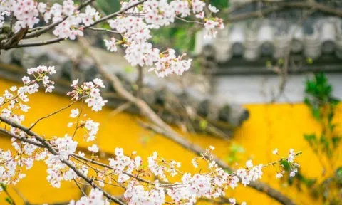 Những người xứng đáng được trân trọng nhất trong cuộc đời này