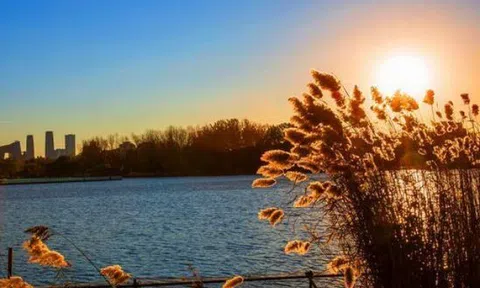 Khai vận đầu xuân: 20 thói quen nhỏ giúp bạn mở ra một năm 2026 rực rỡ và thịnh vượng