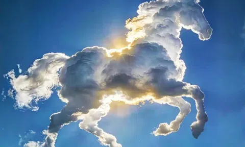 Trắc nghiệm tâm lý: Đâu là điểm tựa vững chắc nhất của bạn khi về già?