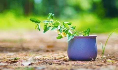 Người mang lại cho bạn 3 cảm giác này, sớm rời xa chính là khôn ngoan nhất!