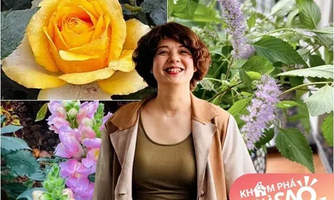 MC Diễm Quỳnh có khu vườn mùa đông đầy sắc màu tuyệt đẹp, đến hoa gia vị cũng được mang vào cắm thơm lừng