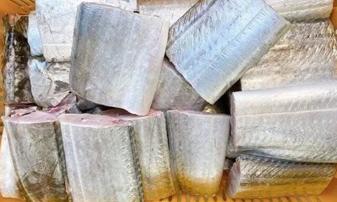 Loại cá thơm ngon béo ngậy nhiều người thích ăn lại "ngậm" thuỷ ngân nhiều nhất chợ Việt, bà bầu càng nên tránh