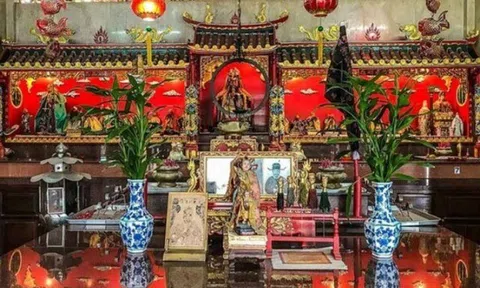 Cuối năm đặt cây này lên bàn thờ, gia chủ làm gì cũng suôn sẻ, sang năm phất lên như diều gặp gió