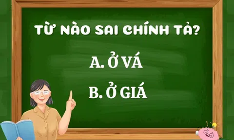 Ở vá hay ở giá mới là từ đúng chính tả? 10 người hết 9 người trả lời sai