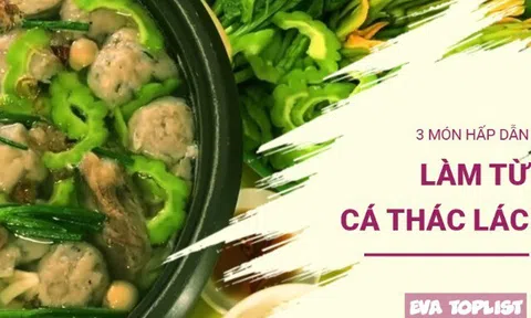 “Thịt dai ngọt, vị khó quên: 3 món siêu hấp dẫn từ cá thác lác khiến bữa cơm thêm tròn vị”