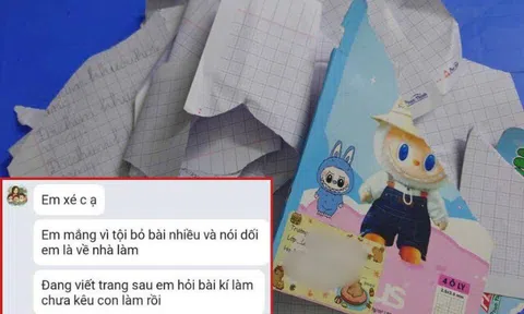 Con tiểu học đến lớp bỏ bài nhiều và nói dối bị cô giáo xé vở, mẹ Việt lên mạng bức xúc gây tranh cãi