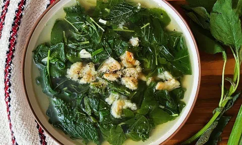 Loại rau là vua của sắt và canxi, dưỡng chất hơn hẳn hải sản lẫn thịt bò, tiếc rằng nhiều người Việt ngó lơ