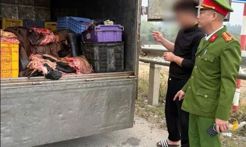 Phú Thọ ngăn chặn 1,2 tấn mỡ, da trâu bò không rõ nguồn gốc