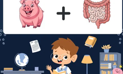 Đuổi hình bắt chữ: Đoán tên các câu ca dao, thành ngữ, tục ngữ Việt Nam bắt đầu bằng chữ C