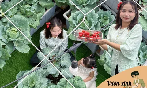 Mẹ đảm TP.HCM chi 30 triệu làm vườn, 4 giờ sáng mỗi ngày lên sân thượng chăm rau