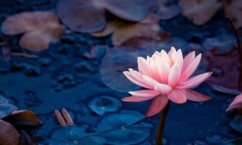 Khi trò chuyện với người khác, bớt nói 3 điều này, phúc khí sẽ ngày càng dày sâu