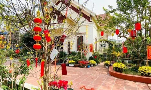 Trồng 10 loại hoa này trước cửa nhà đón Tết Nguyên đán, năm mới tài vận lên cao, gia chủ yên tâm hưởng phúc