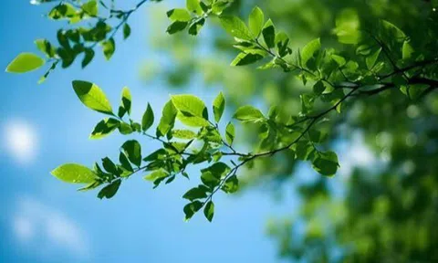 Muốn biết một gia đình nhiều may mắn, phước lành hay không, nhìn vào 2 chữ này là rõ