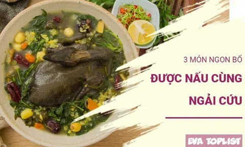 Đừng bỏ qua ngải cứu mùa lạnh: 3 món ngon vừa ấm bụng vừa tốt cho sức khỏe