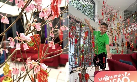 Cành đào chuông Yên Tử lạ mắt "vượt ngàn trùng" đến tay Đàm Vĩnh Hưng: "Lung linh và quý lắm"