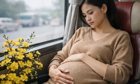 Khệ nệ bụng bầu về quê ăn Tết, thấy cảnh chồng cũ ở bến xe tôi liền nhắn anh xin tái hôn