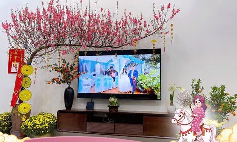 10 nhà thì 9 nhà đặt sai cây quất và cành đào, đây là cách người giàu thường đặt cây cảnh, chẳng trách ngày càng giàu