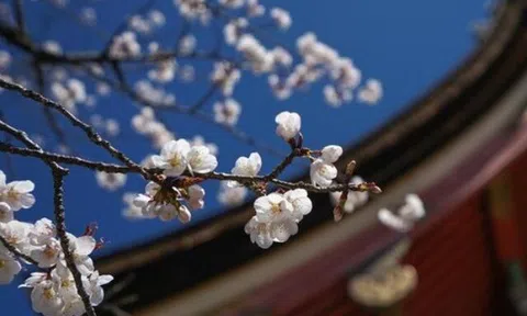 Không phải tiền bạc hay quyền lực, có 2 điều này chứng tỏ bạn thực sự giàu có