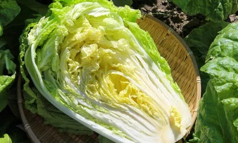 13 loại rau lá mùa Xuân "tốt nhất thế giới", thích hợp trong mâm cơm Tết Bính Ngọ cho cả nhà, giá từ 15.000 đồng/kg