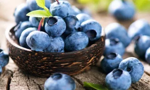 4 loại quả được Đại học Harvard ca ngợi là “tốt nhất thế giới”, ở chợ Việt bán rất nhiều