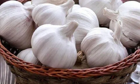 Mùa nồm mua tỏi, làm ngay những điều này, tỏi để cả năm chẳng mọc mầm, mối mọt