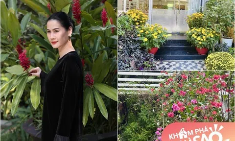Ngôi nhà xinh xắn của Thân Thúy Hà đúng kiểu "thềm nhà có hoa", đẹp rực rỡ khi xuân về