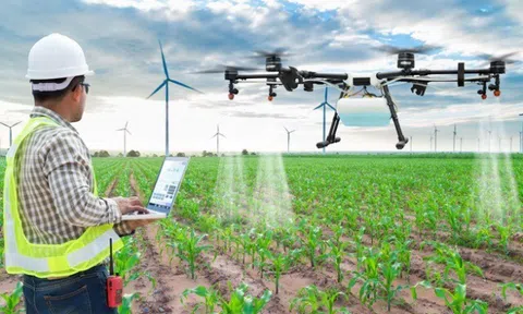 6 công việc “hái ra tiền” trong những năm tới, trở thành xu hướng nghề nghiệp siêu HOT trên thị trường tuyển dụng