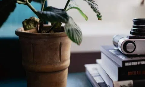 Người trả lời tin nhắn bạn như này, tránh xa sớm chính là khôn ngoan!