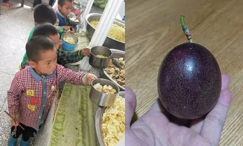 Con luôn miệng khen cơm trưa ở trường ngon, mẹ vô tình kiểm tra cặp sách thấy thứ đồ bé mang về, lập tức kiện hiệu trưởng