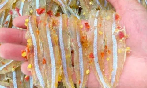 Loài cá quen thuộc nghe đã thấy "no đủ", xưa giá rẻ nay thành đặc sản 170.000 đ/kg, giàu canxi gấp 25 lần cá hồi