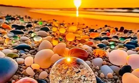 Càng bình tĩnh, bạn sẽ càng chiến thắng!