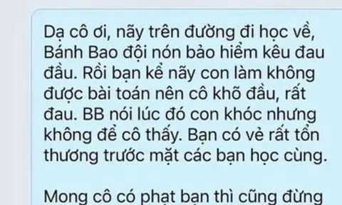 Con đi học về kêu đau vì bị cô phạt gõ đầu, đoạn tin nhắn của mẹ Việt khiến dân mạng tranh cãi