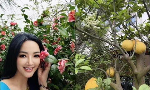 Khu vườn trĩu trịt hoa trái trên ban công biệt thự của Hoa hậu Giáng My: Bưởi chanh lúc lỉu, rau ăn không kịp