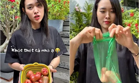 Diệp Bảo Ngọc "đau lòng" vì cứ sáng ra mận rụng hàng rổ dù chưa chín, cầu cứu bí quyết từ cư dân mạng
