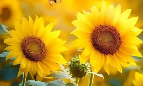 Sức hút thực sự của phụ nữ không nằm ở nhan sắc mà là 3 đặc điểm này