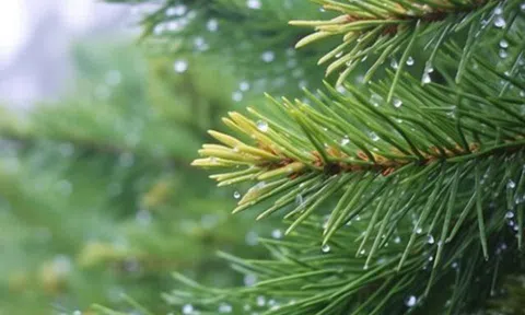 Trí tuệ cảm xúc cao thực sự không nằm ở sự khéo léo, mà gói gọn trong 3 điều này