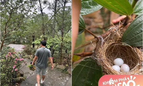 Nhà vườn của "Vua nhạc đỏ" ở Thanh Hóa đúng kiểu đất lành chim làm tổ, dân mạng tấm tắc khen "quá tuyệt vời"