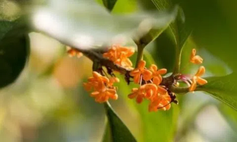 3 cách khéo léo từ chối cho vay tiền, người cả nể nhất cũng làm được