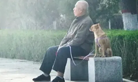 Về hưu, người nhiều tiền sống không sướng bằng người lương hưu thấp nhưng "kín miệng" trong những việc này